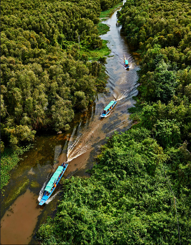 Chạy ngay đi - Đến với các cánh rừng ngập nước hoang dã Long An Việt Nam